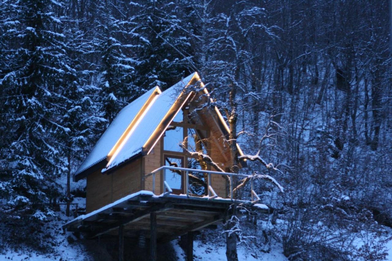 Tree House - Tara Place Mojkovac Exterior foto