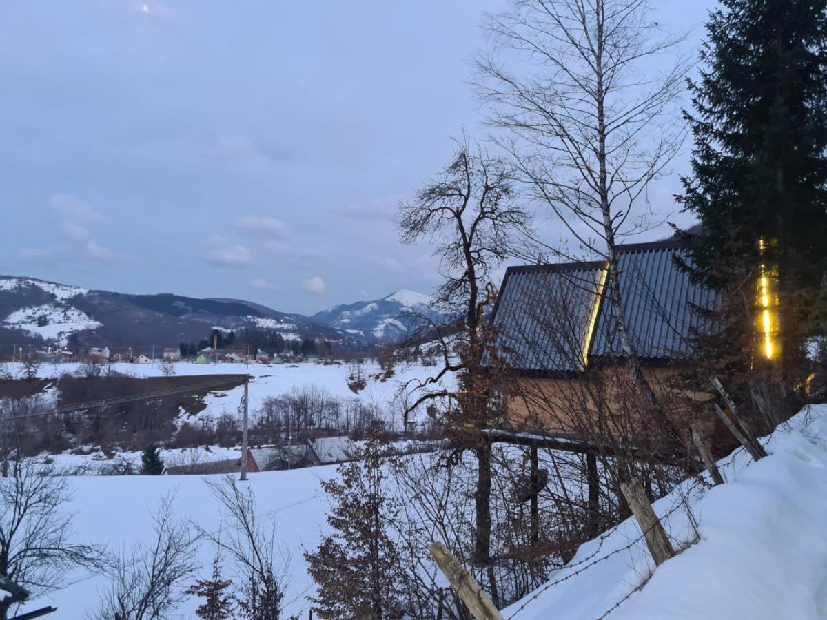 Tree House - Tara Place Mojkovac Exterior foto
