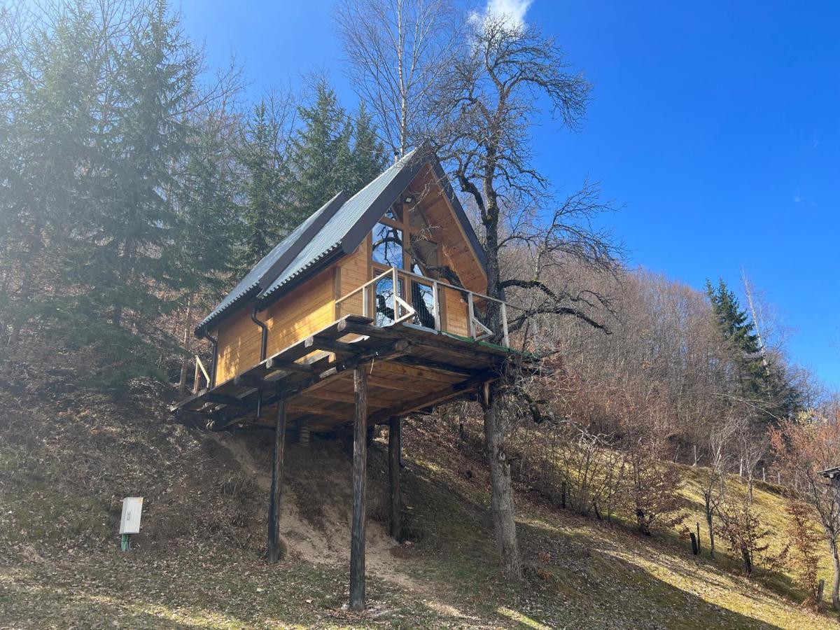 Tree House - Tara Place Mojkovac Exterior foto