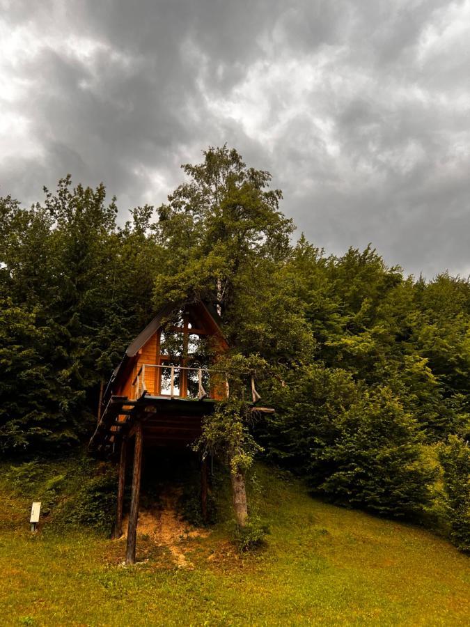 Tree House - Tara Place Mojkovac Exterior foto