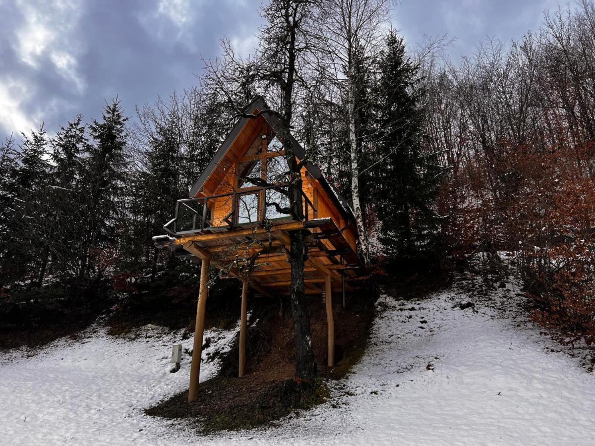 Tree House - Tara Place Mojkovac Exterior foto